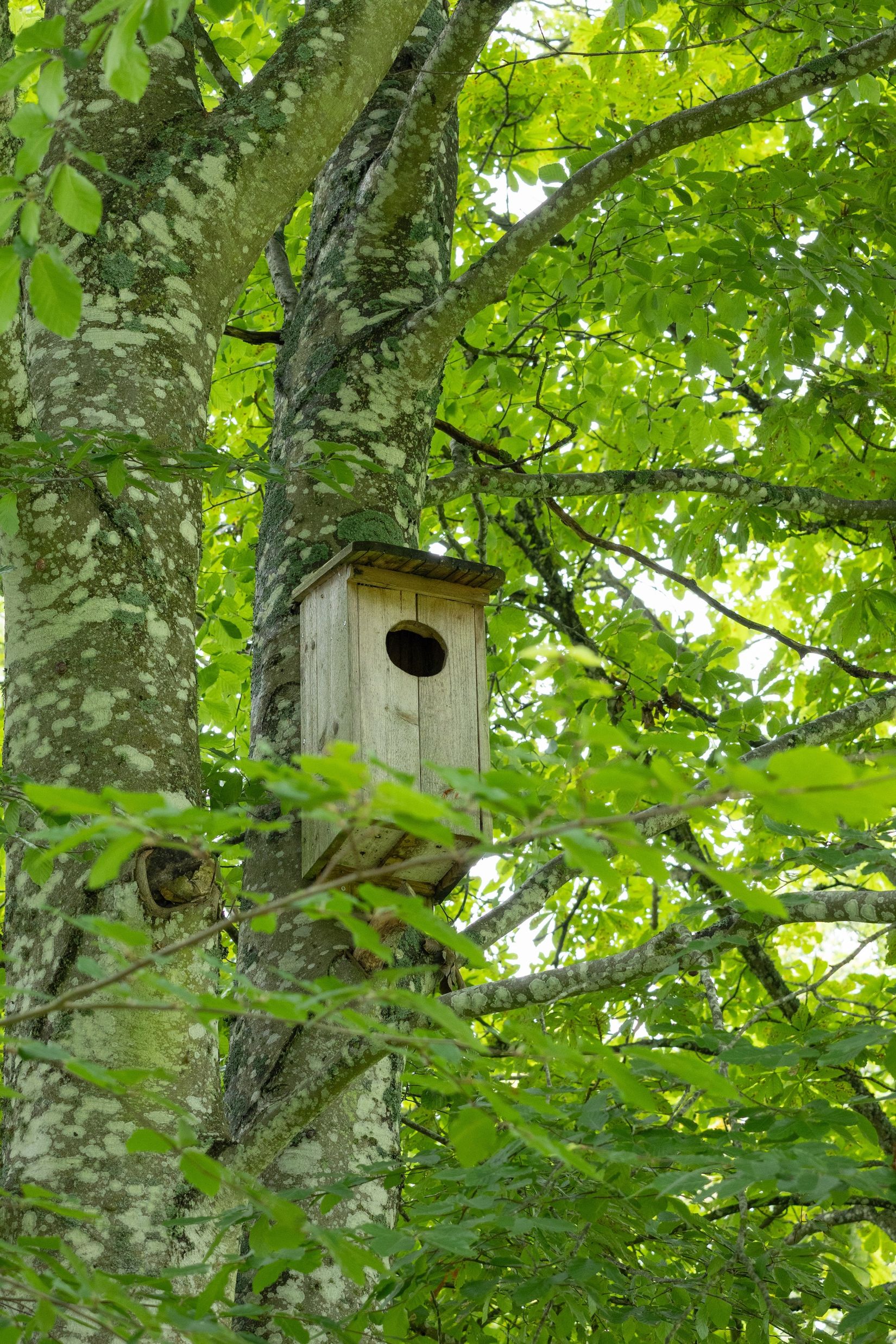 Villa, Gånarps backaväg 3, Gånarp, Ängelholm