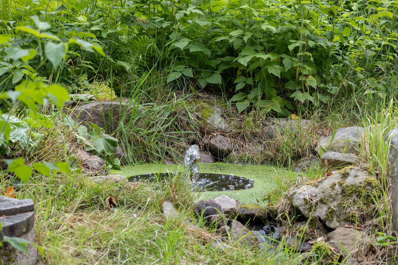 Villa, Gånarps backaväg 3, Gånarp, Ängelholm