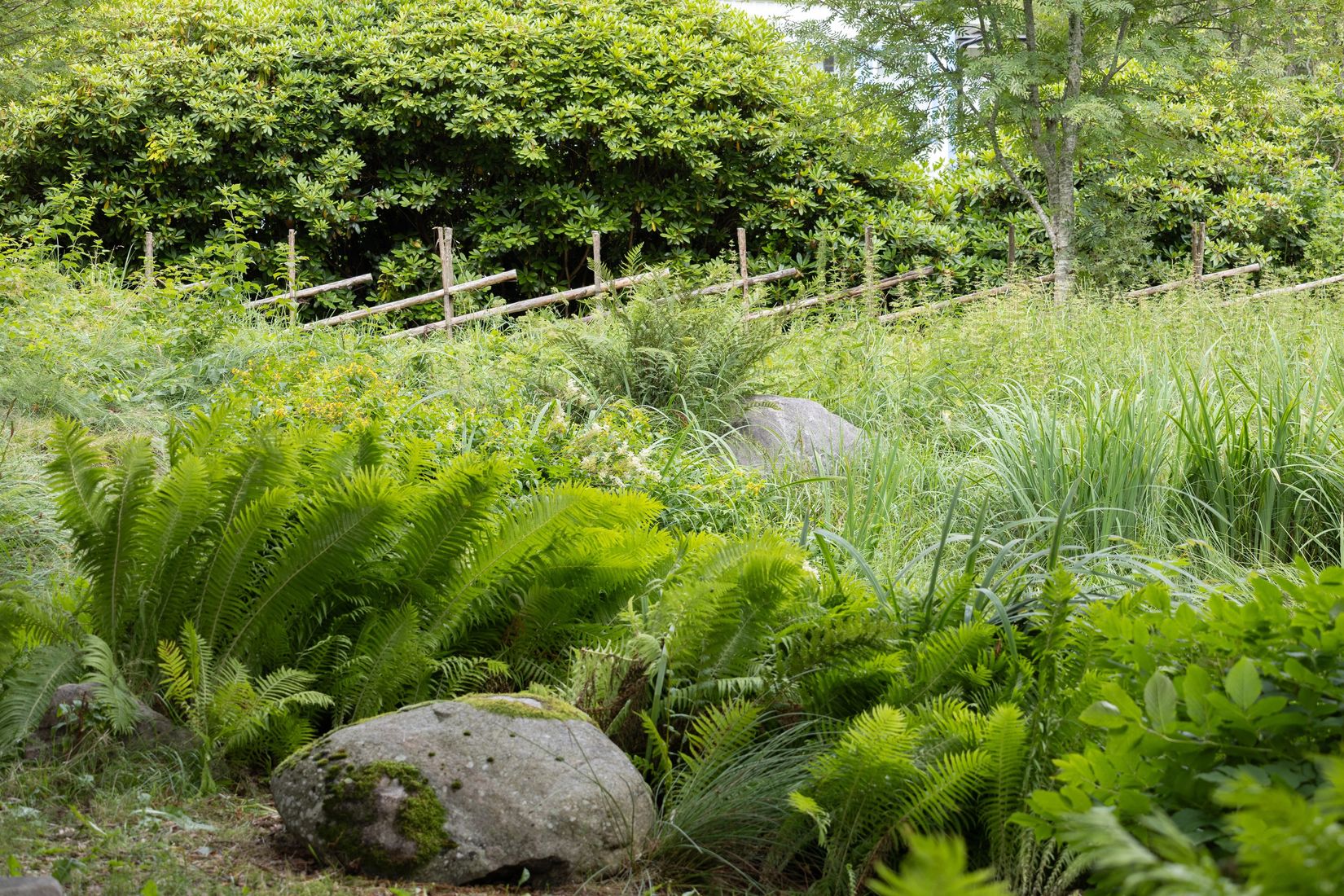 Villa, Gånarps backaväg 3, Gånarp, Ängelholm