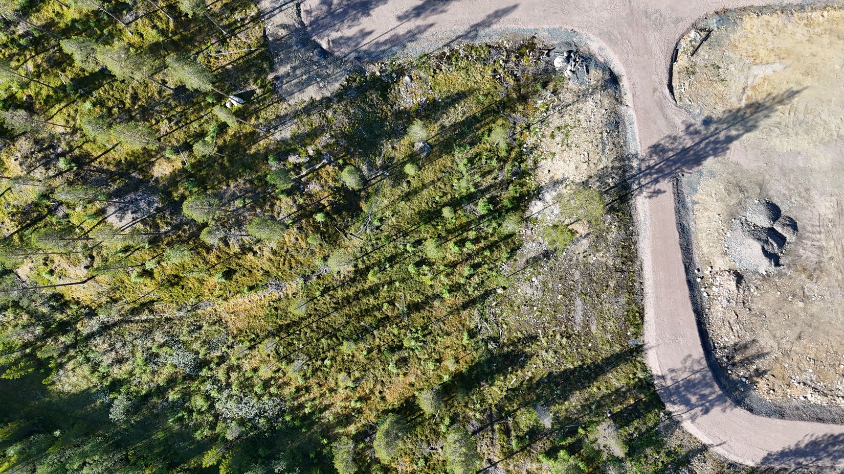 Tomt, Lovsångsslingan 10, Härjedalen