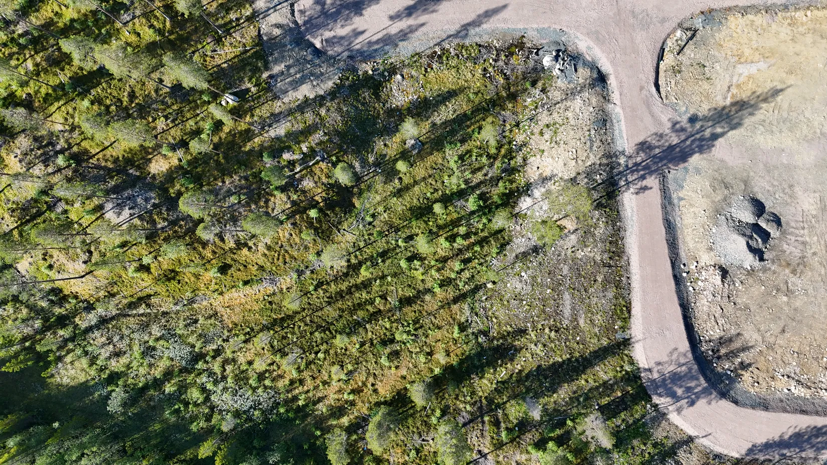 Tomt, Lovsångsslingan 10, Härjedalen