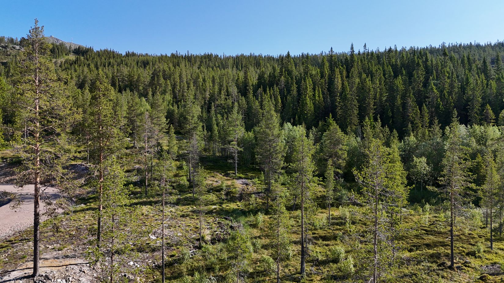 Tomt, Lovsångsslingan 10, Härjedalen