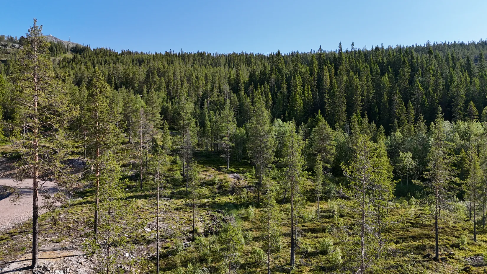 Tomt, Lovsångsslingan 10, Härjedalen