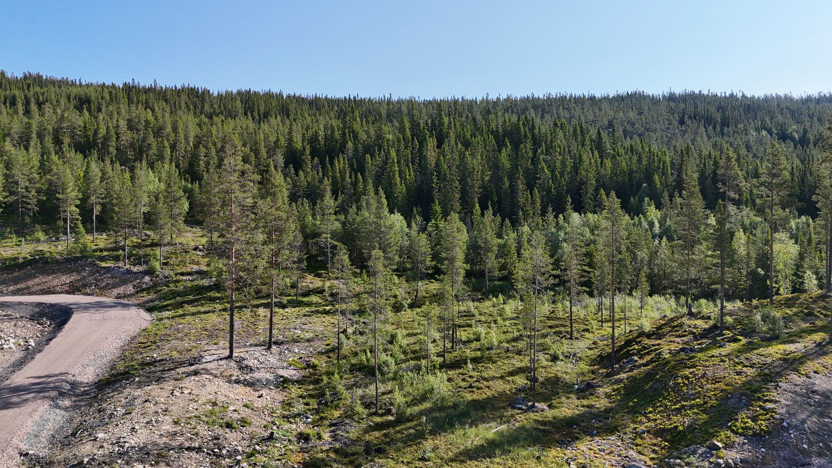 Tomt, Lovsångsslingan 10, Härjedalen