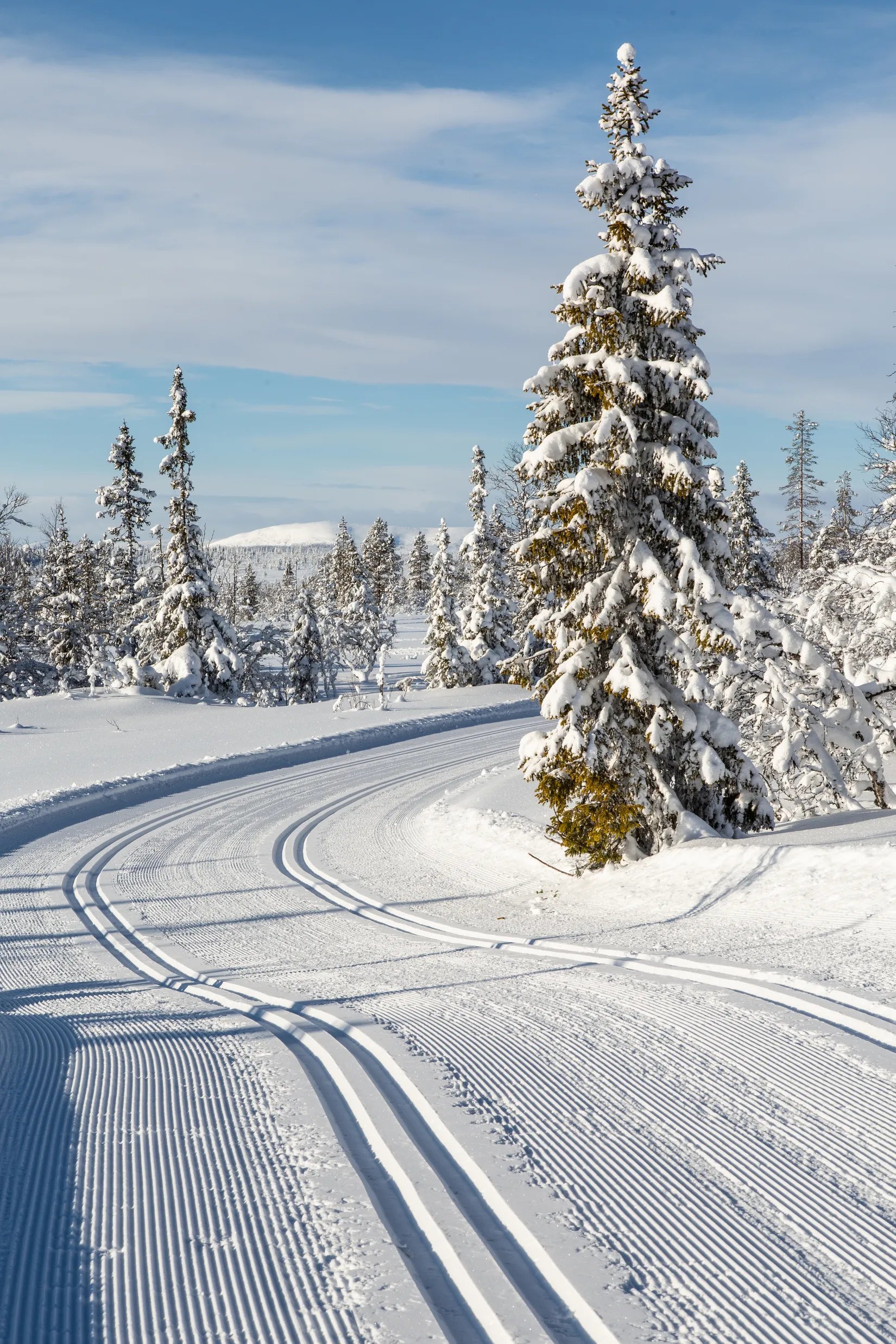 Tomt, Lovsångsslingan 10, Härjedalen