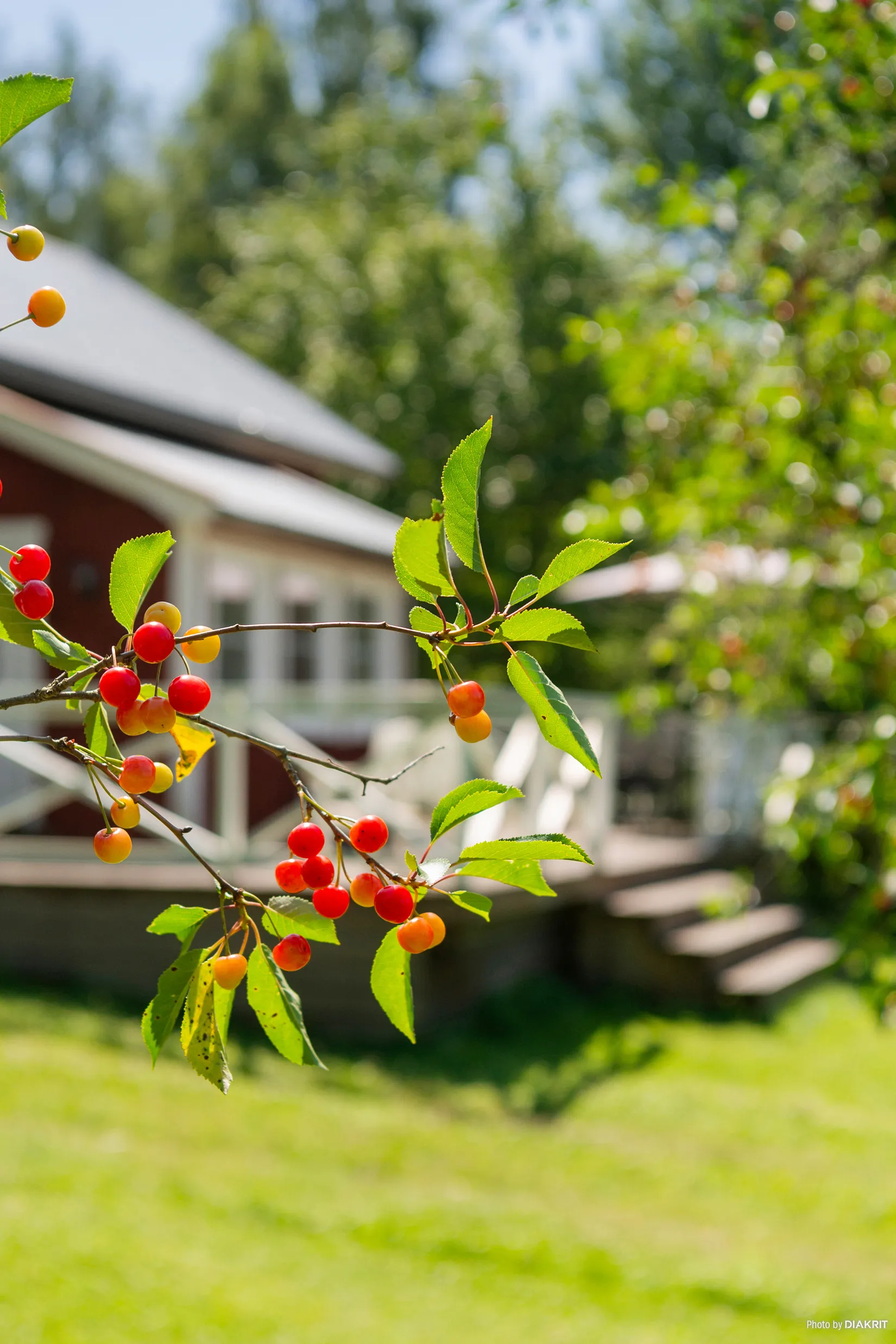 Villa, Björstorp Lilla Näs 2, Björstorp, Karlsborg