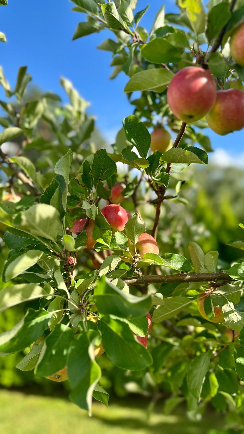 Radhus, Ardennervägen 2h, Svinninge, Österåker