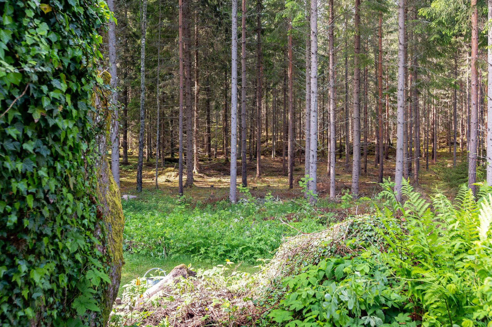 Fritidshus, Hester Stenstorp 1, Boxholm