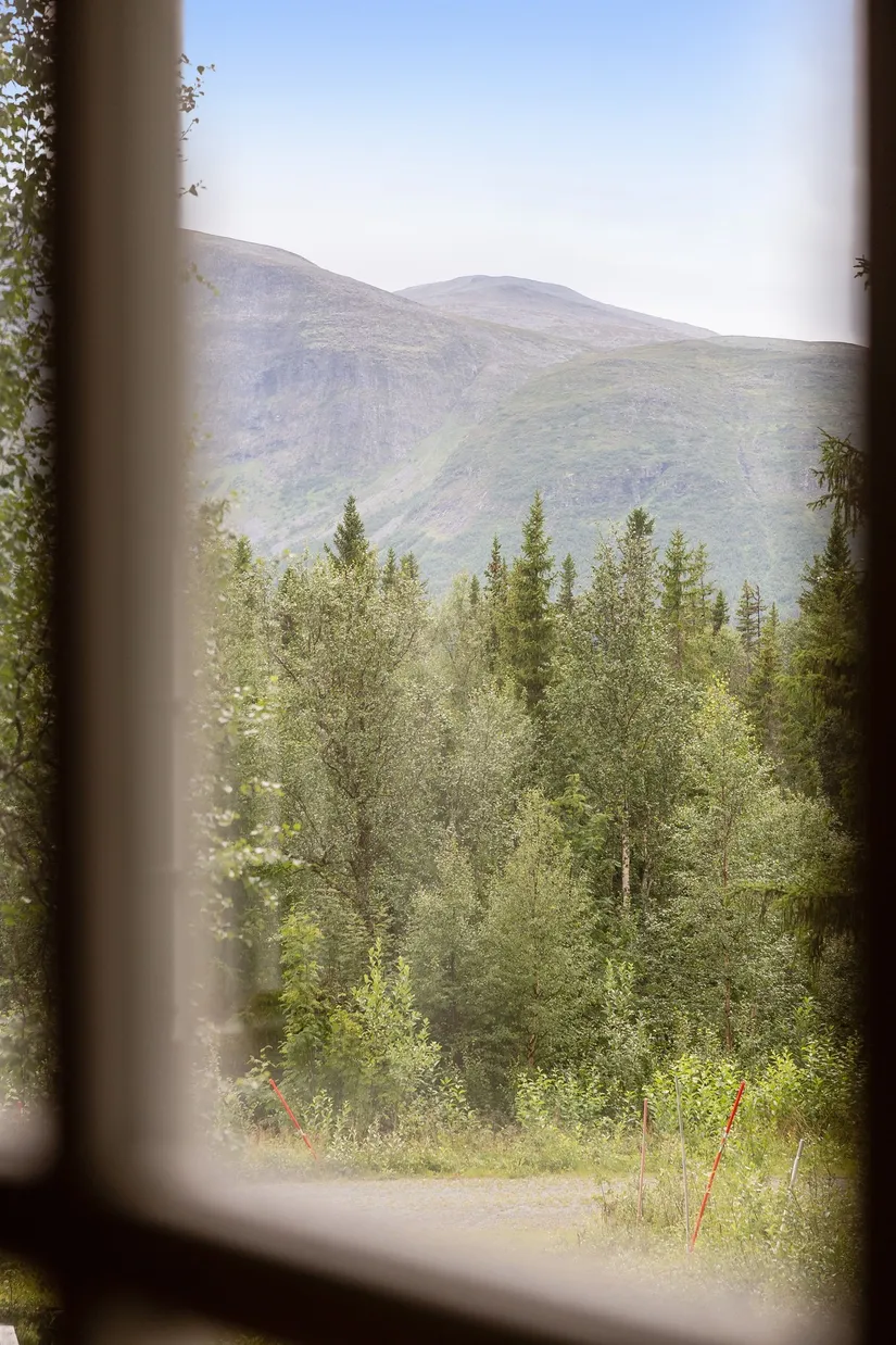 Fritidshus, Näslunds väg 106, Dorotea - Borgafjäll, Dorotea