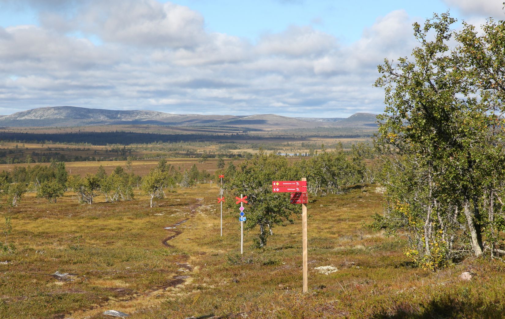 Tomt, Lovsångsslingan 2, Härjedalen