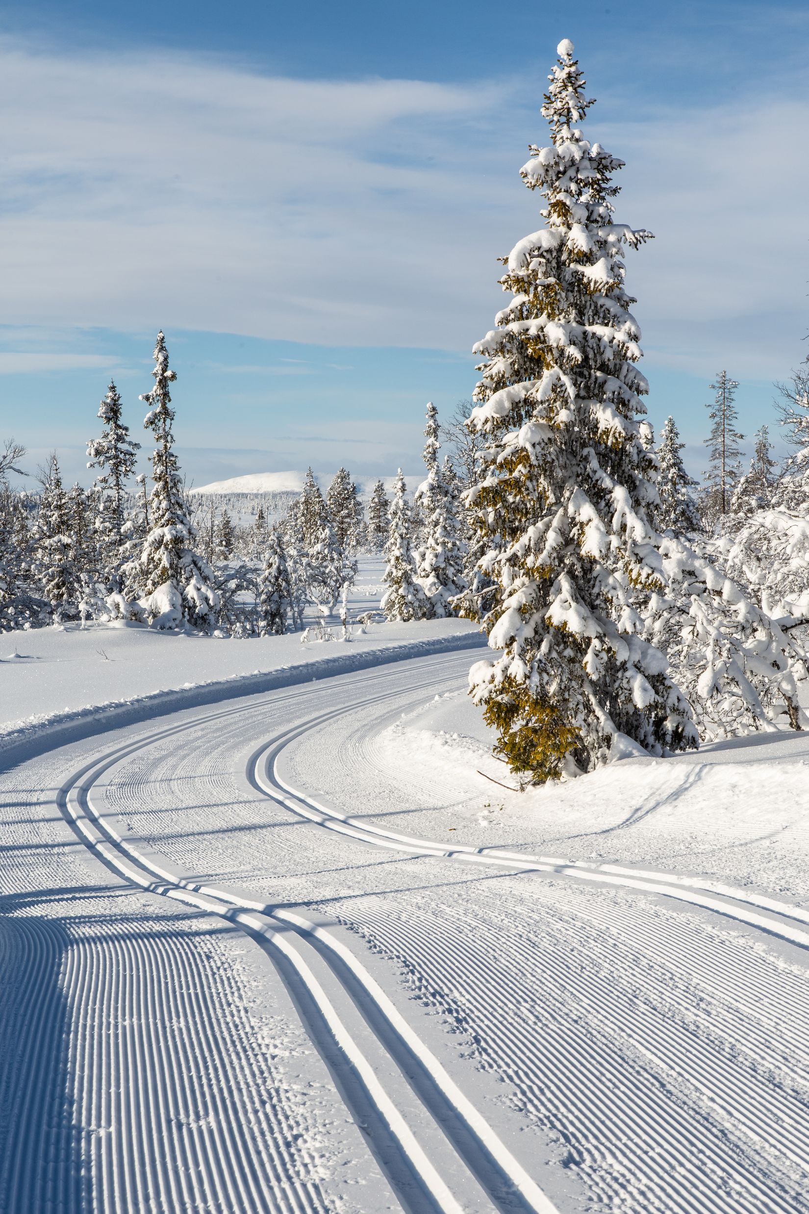 Tomt, Lovsångsslingan 2, Härjedalen