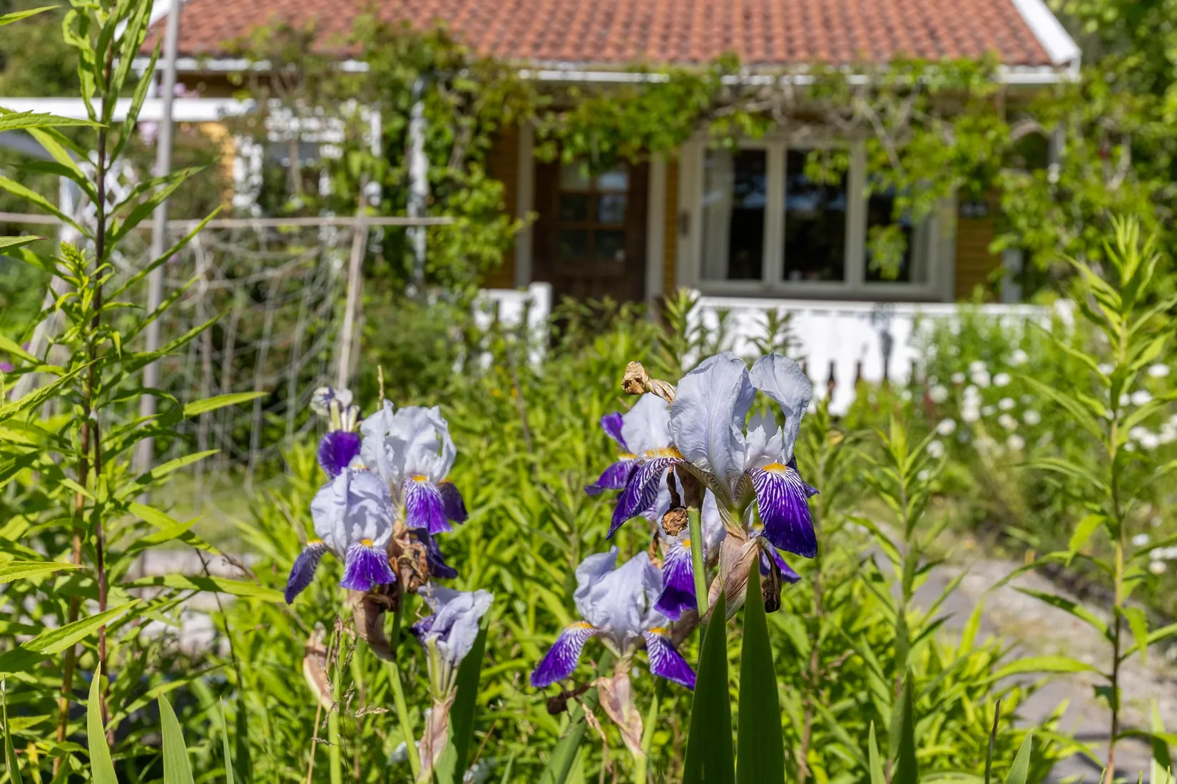 Fritidshus, Kolonivägen 64, lott 85, Biskopsängen, Västerås