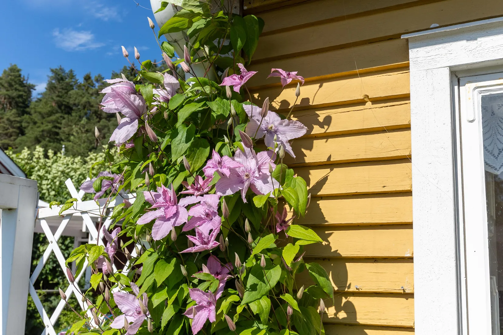 Fritidshus, Kolonivägen 64, lott 85, Biskopsängen, Västerås