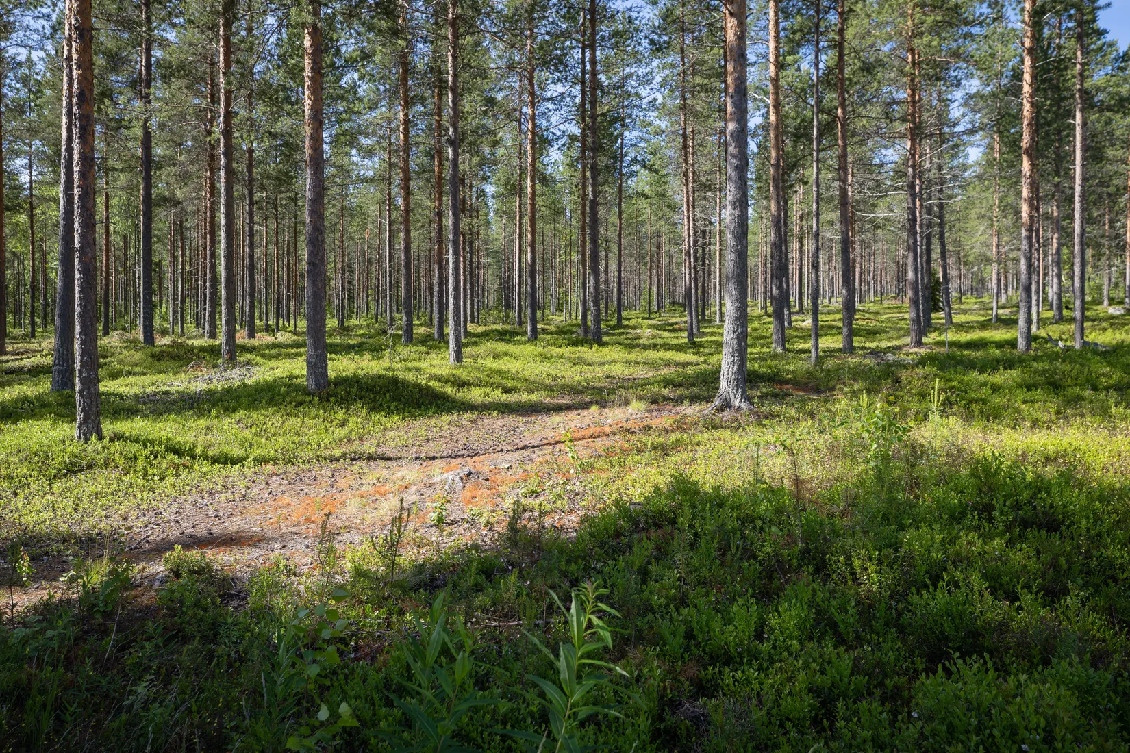 Villa, Furuögrund 607, Furuögrund, Skellefteå