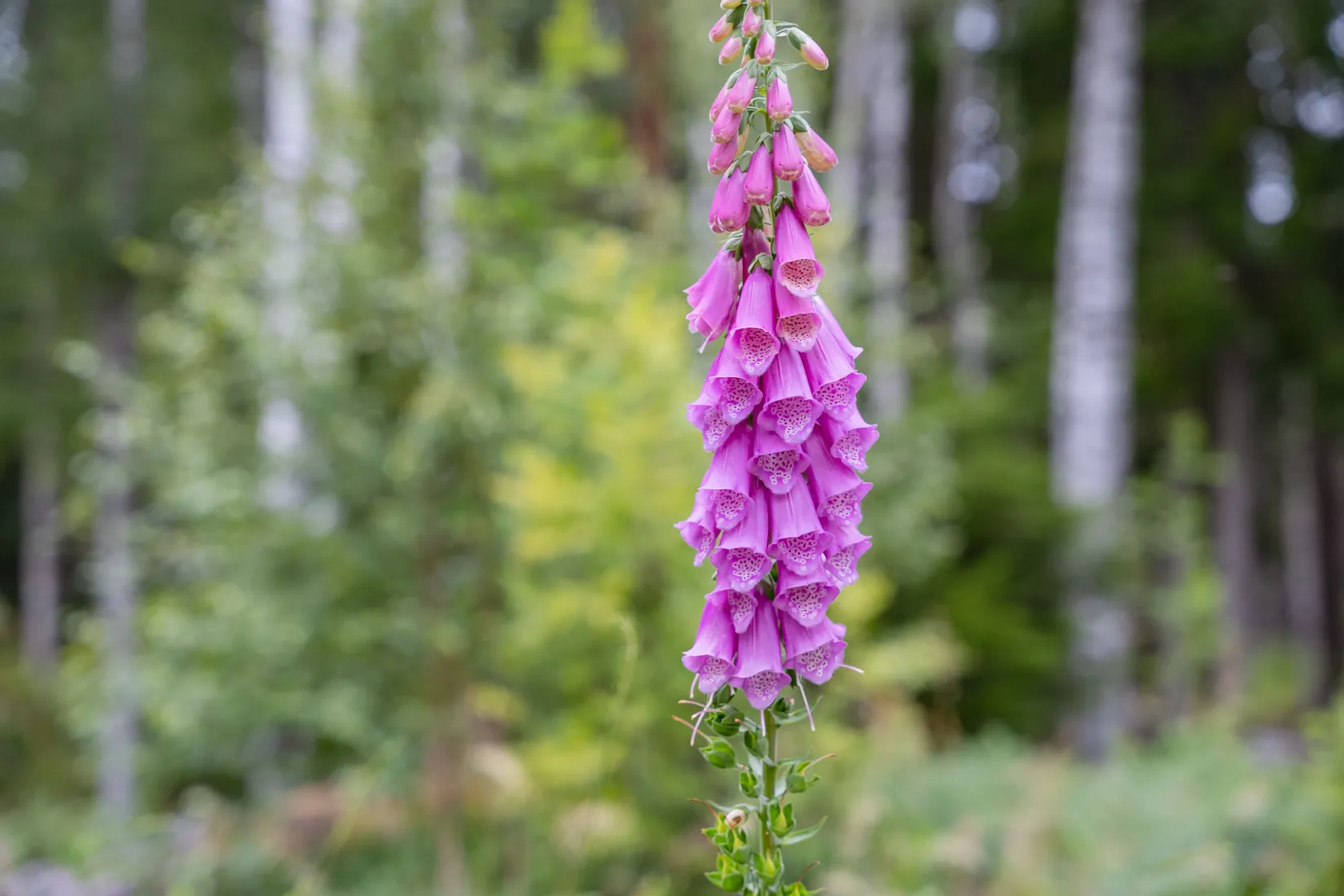 Fritidshus, Andstigen 7, Bränntorp, Finspång