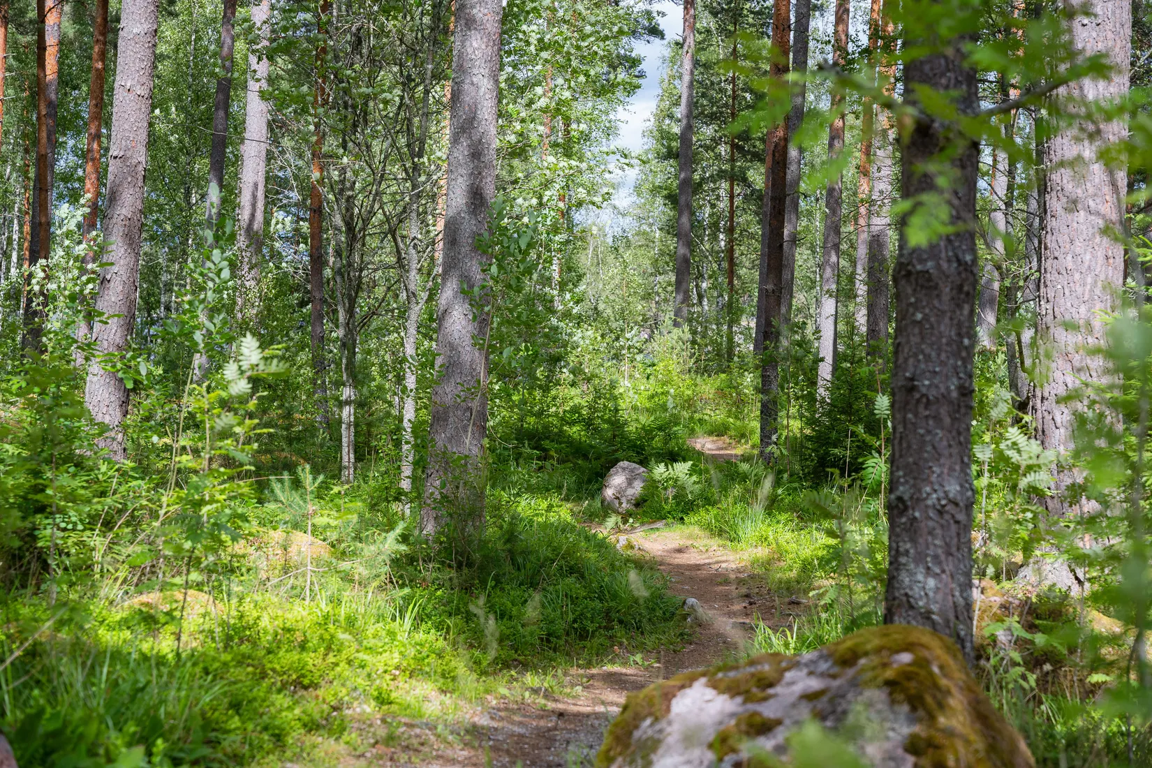 Fritidshus, Andstigen 7, Bränntorp, Finspång