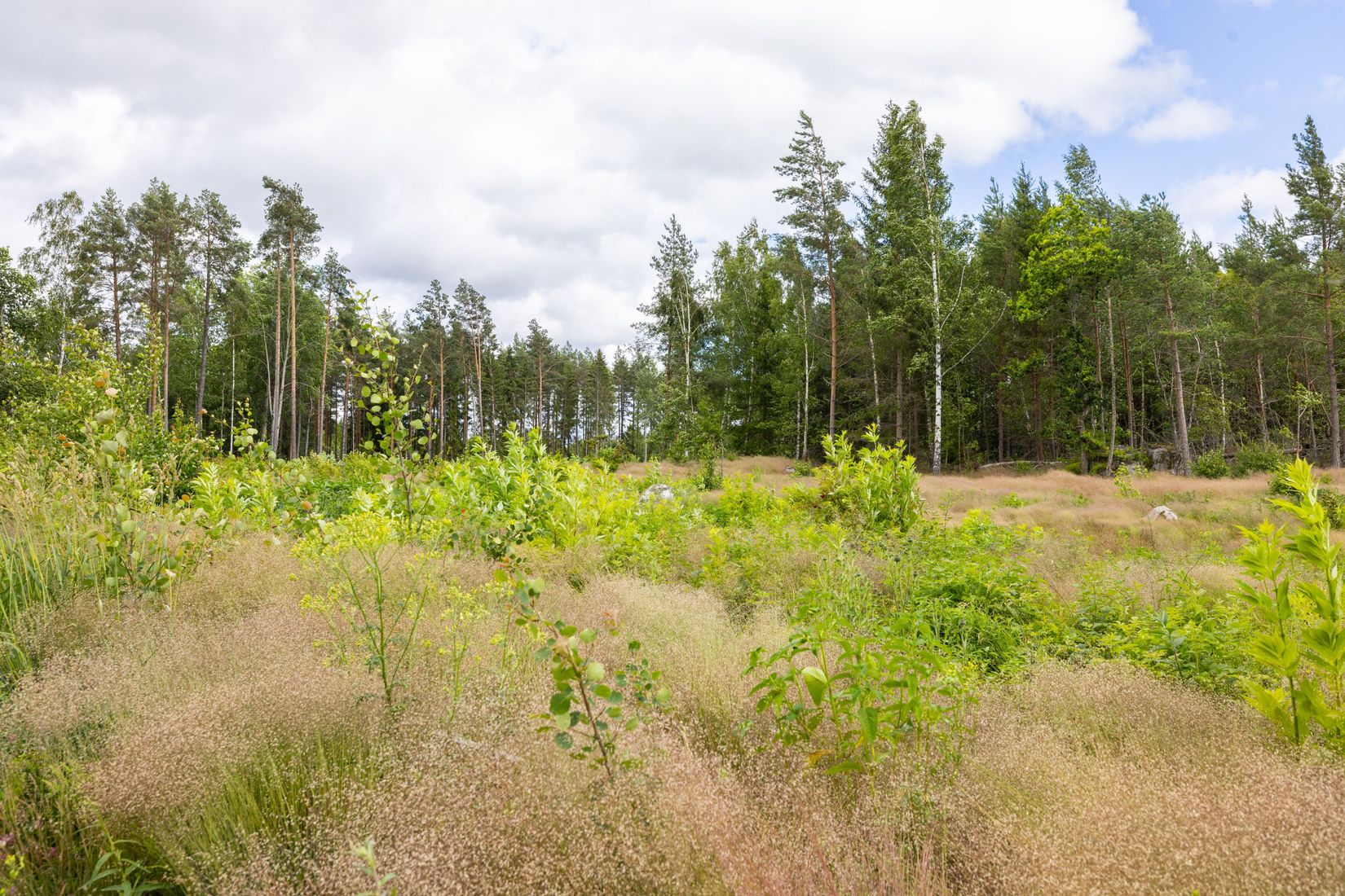 Tomt, Jäders-Ekeby 13, Mora/Sundbyholm, Eskilstuna