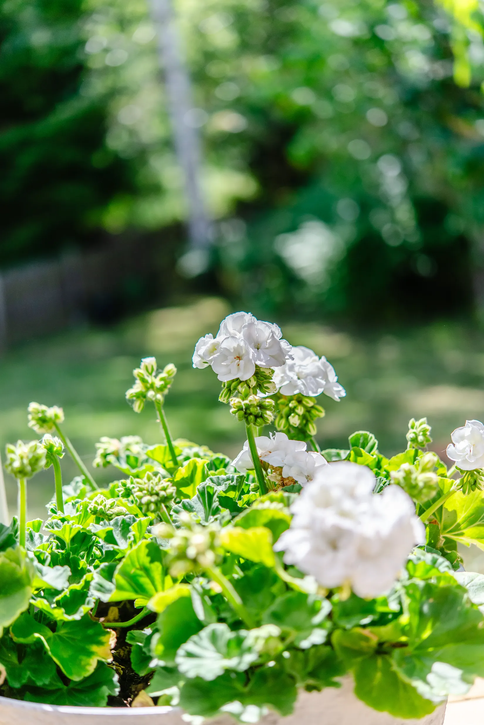 Bostadsrätt, Otto bondes väg 80, Margretelund, Österåker