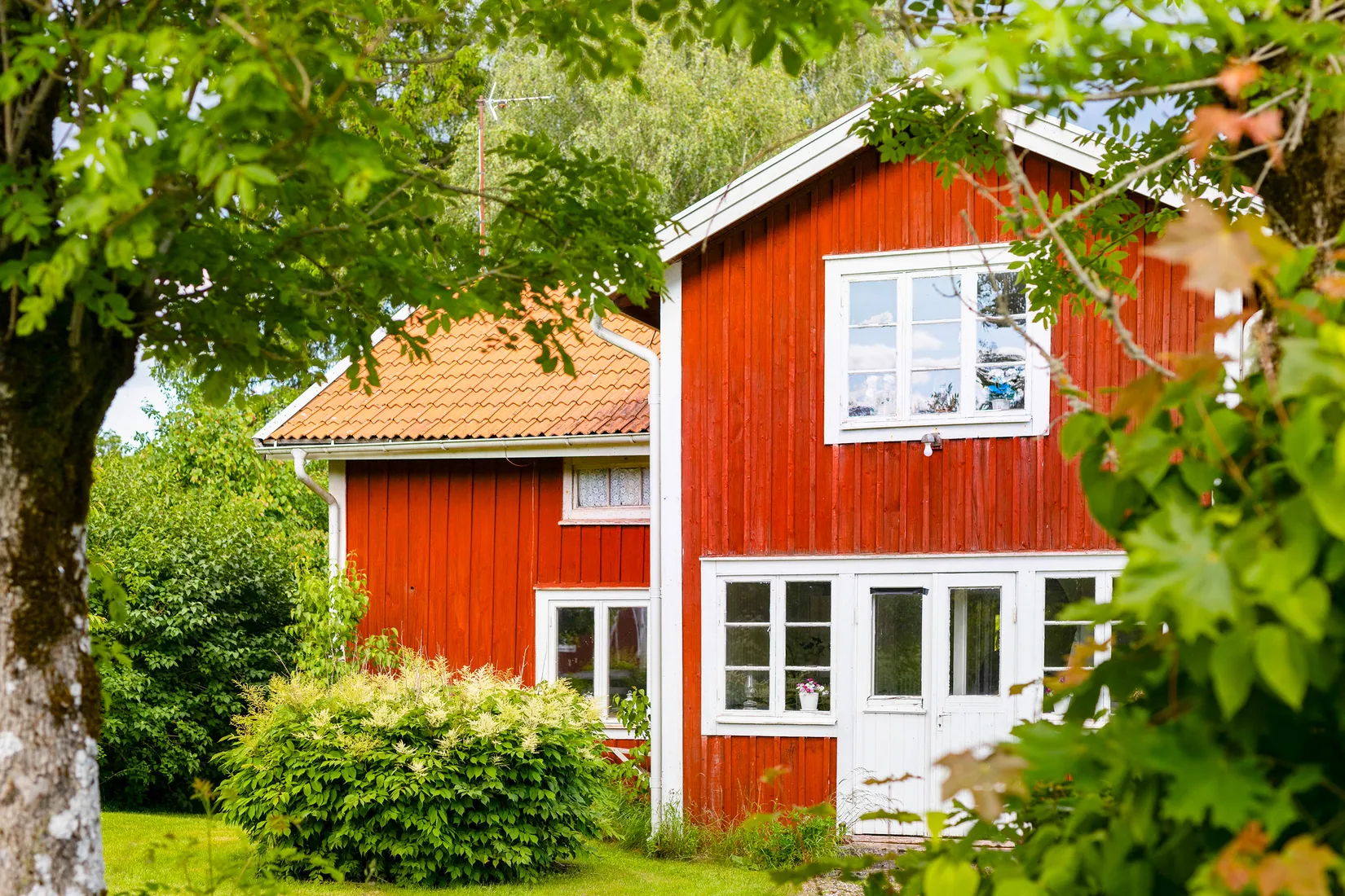 Gård/Skog, Ed Nissatorp 1, Värnamo