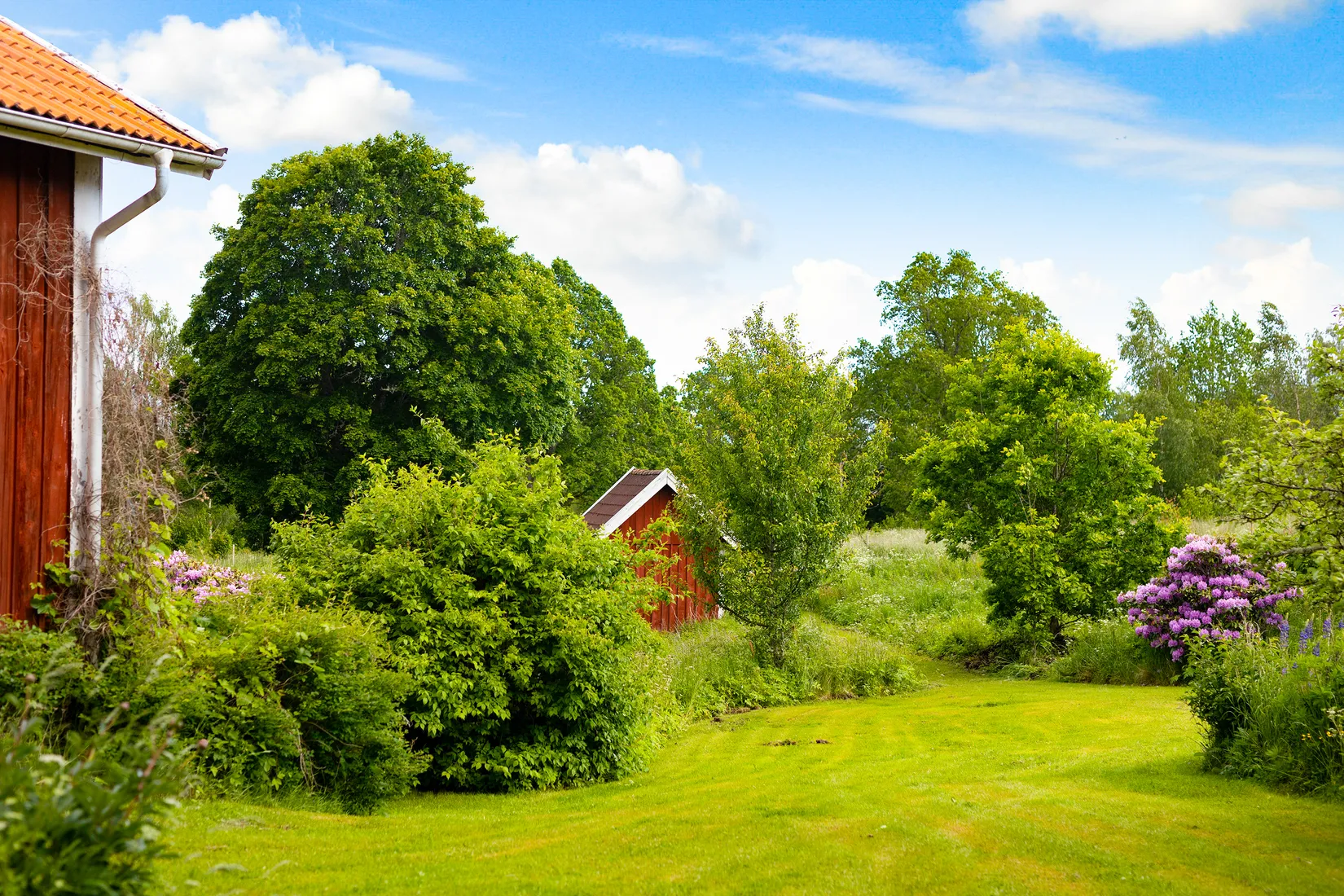 Gård/Skog, Ed Nissatorp 1, Värnamo