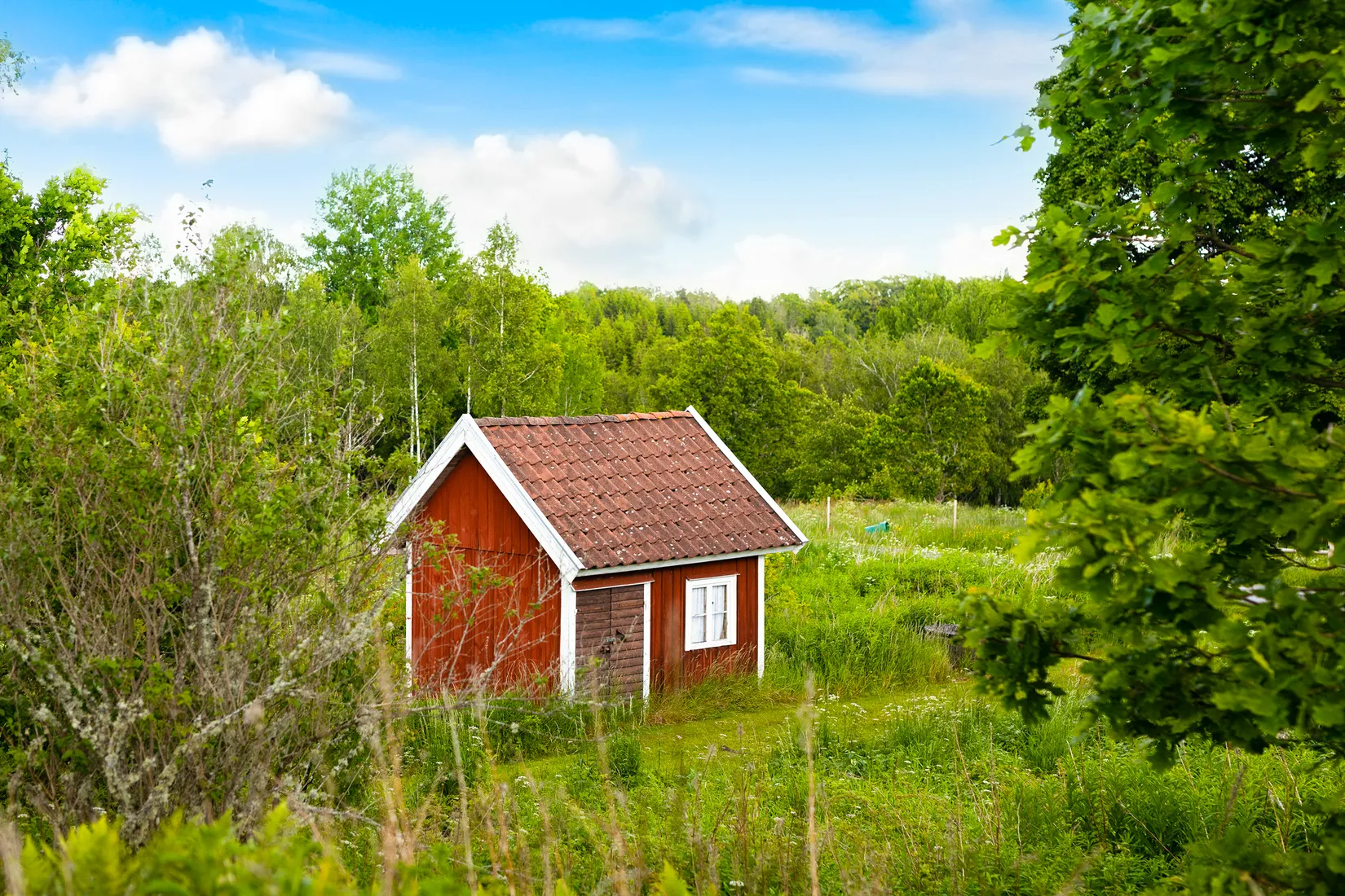 Gård/Skog, Ed Nissatorp 1, Värnamo