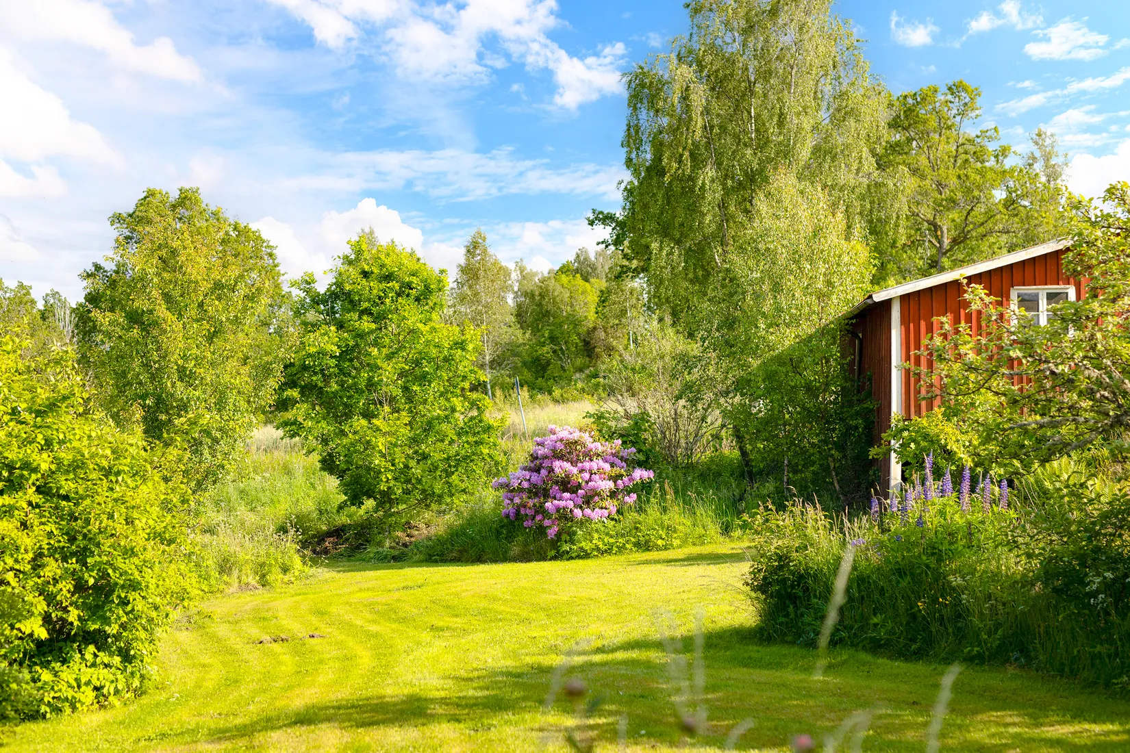 Gård/Skog, Ed Nissatorp 1, Värnamo