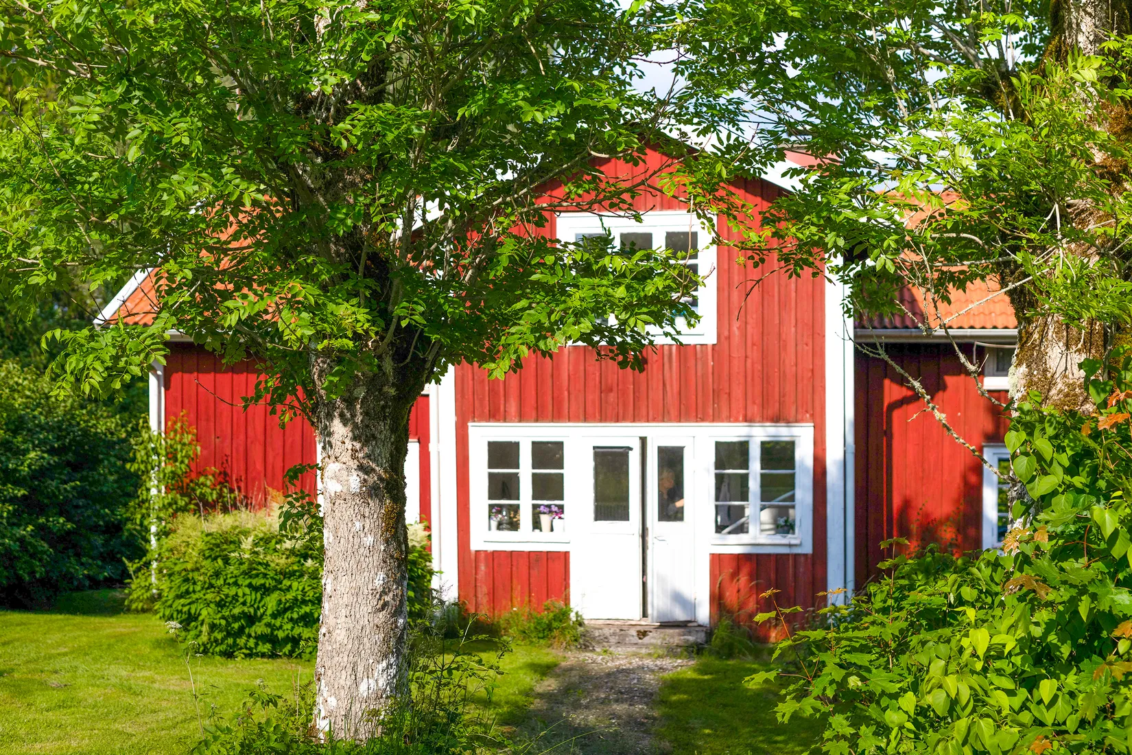 Gård/Skog, Ed Nissatorp 1, Värnamo