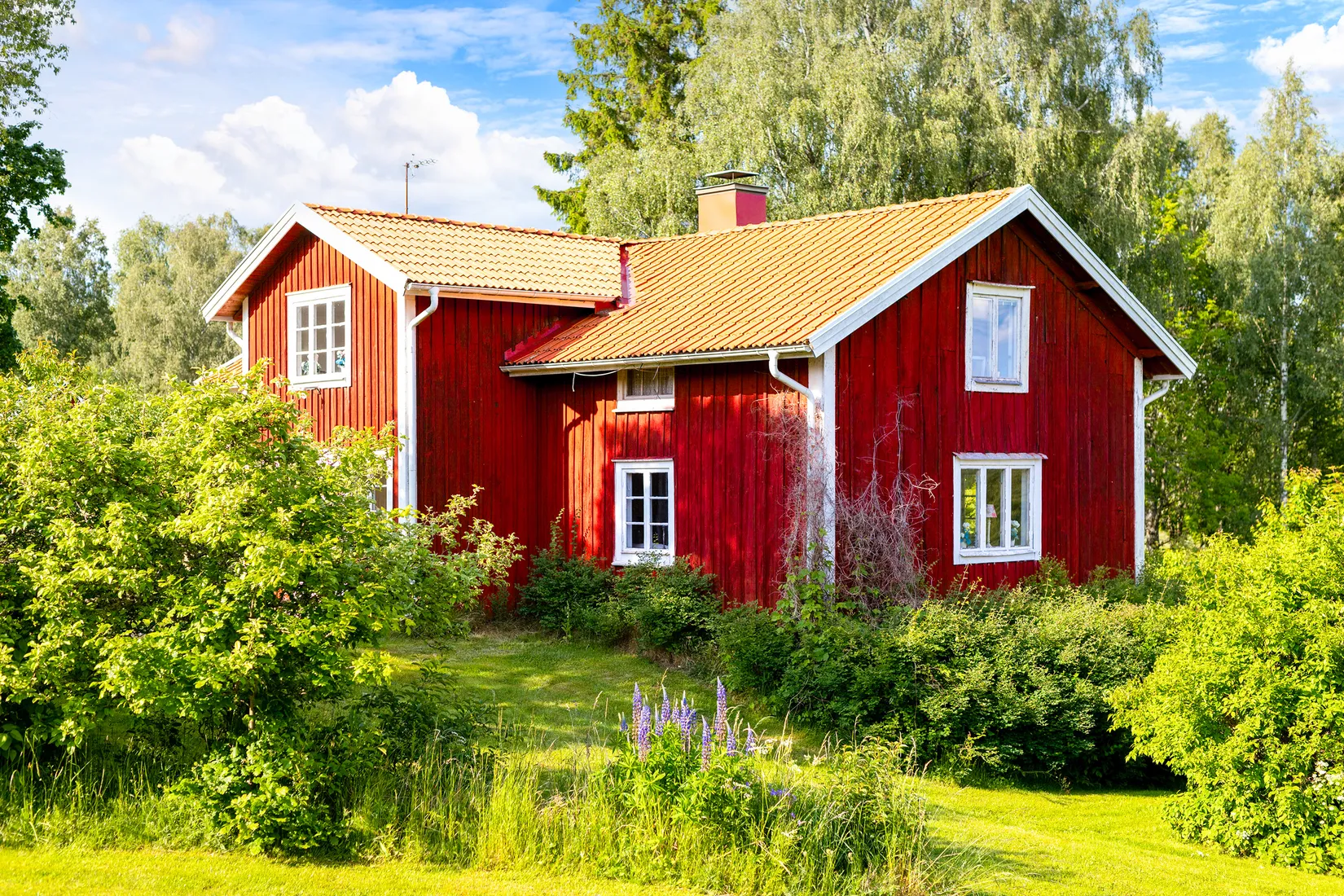 Gård/Skog, Ed Nissatorp 1, Värnamo