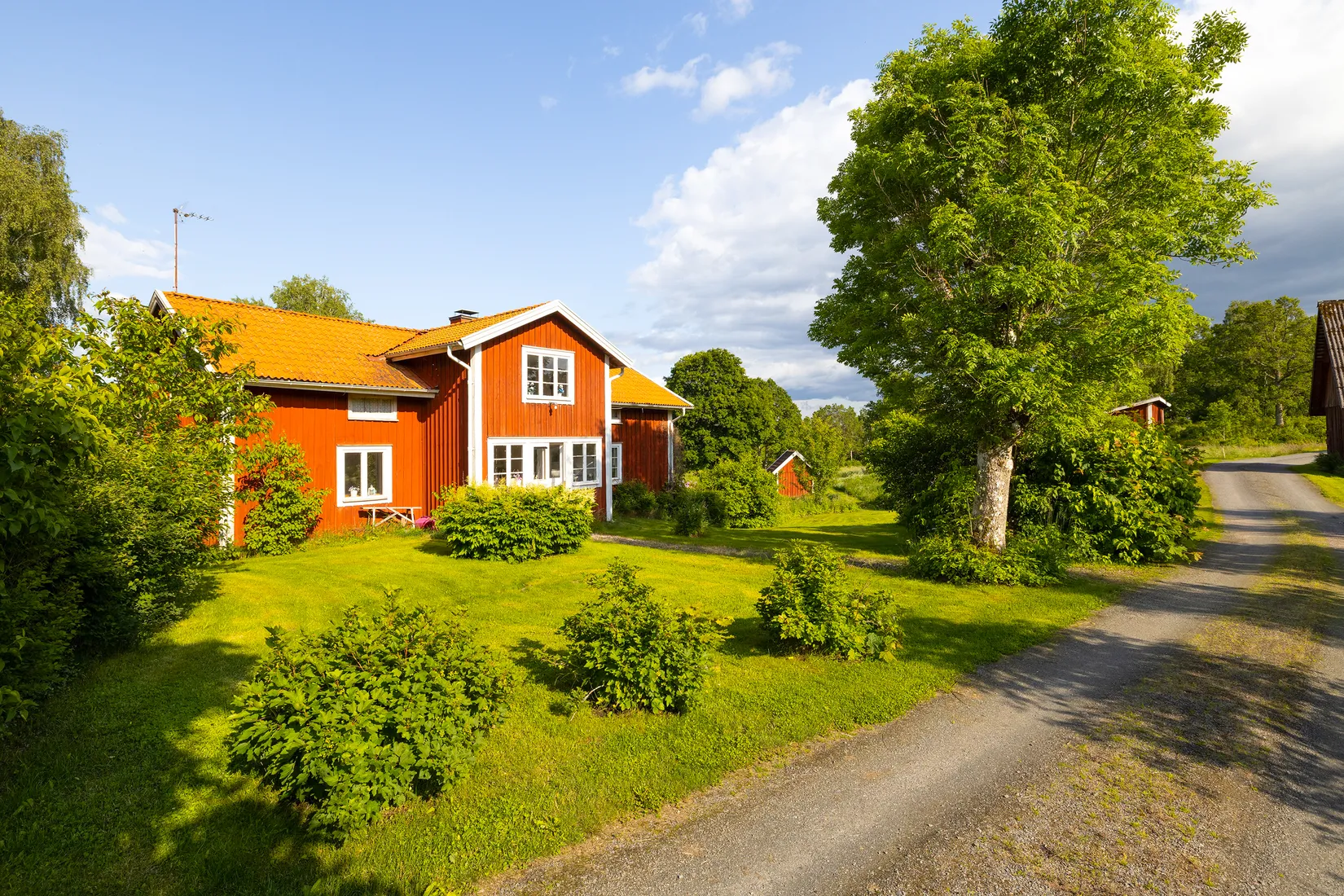 Gård/Skog, Ed Nissatorp 1, Värnamo