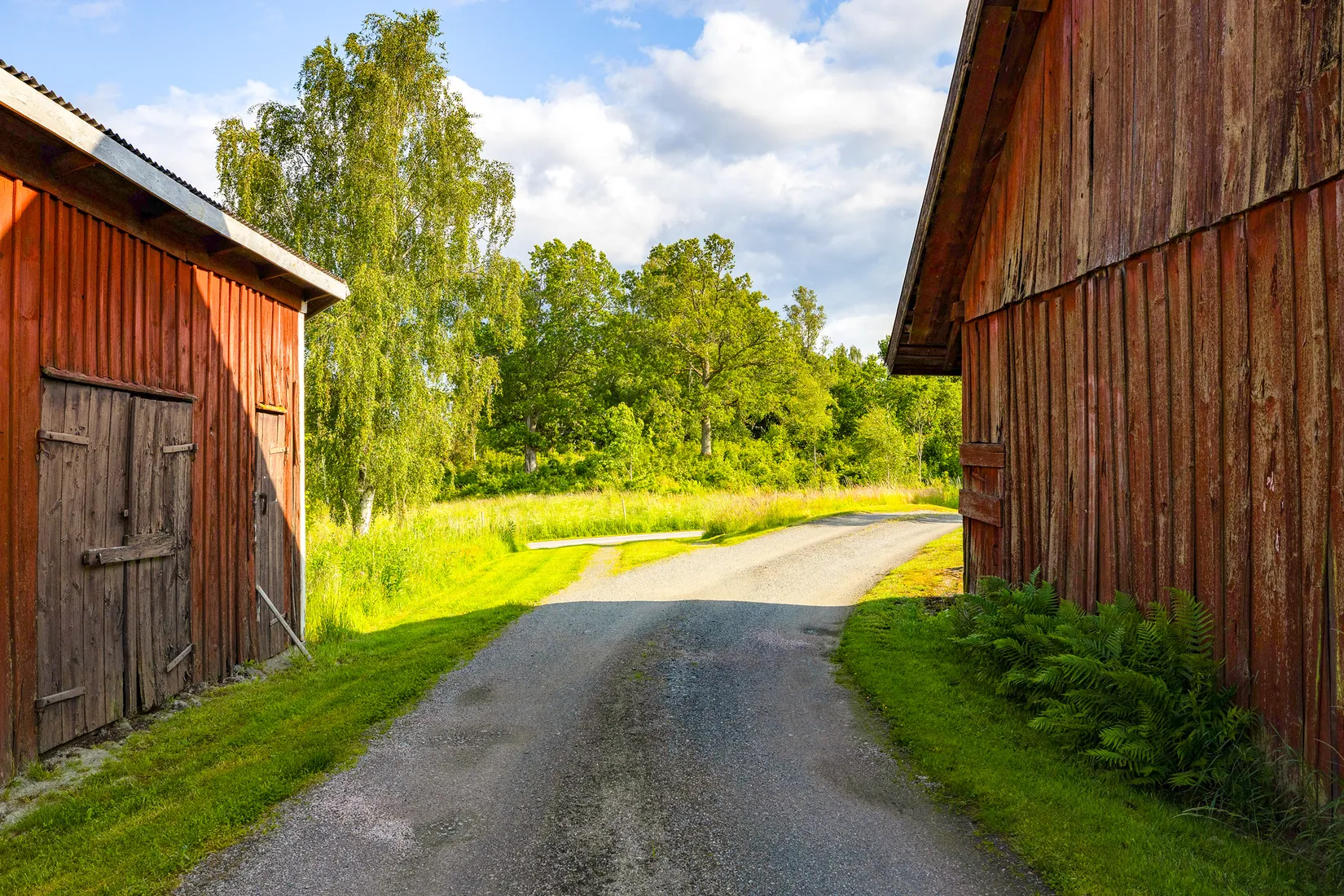 Gård/Skog, Ed Nissatorp 1, Värnamo