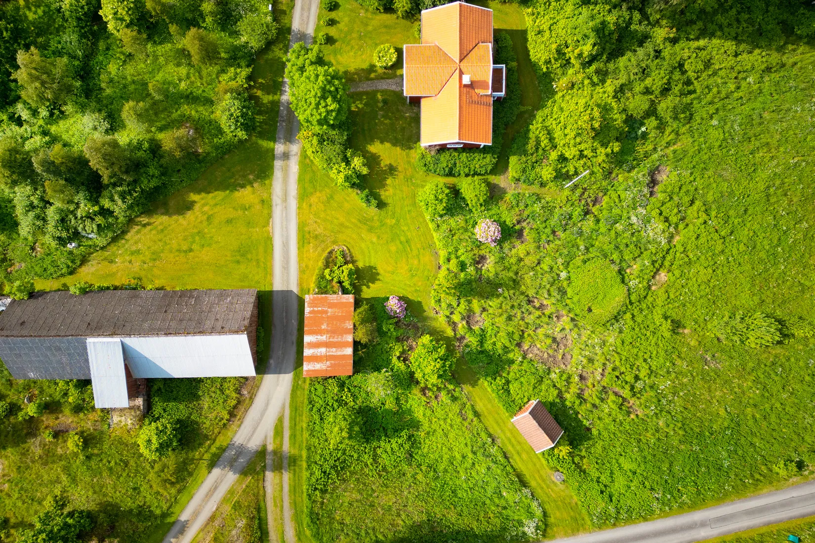 Gård/Skog, Ed Nissatorp 1, Värnamo