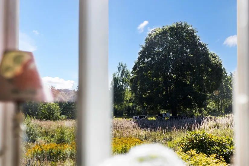 Gård/Skog, Ed Nissatorp 1, Värnamo