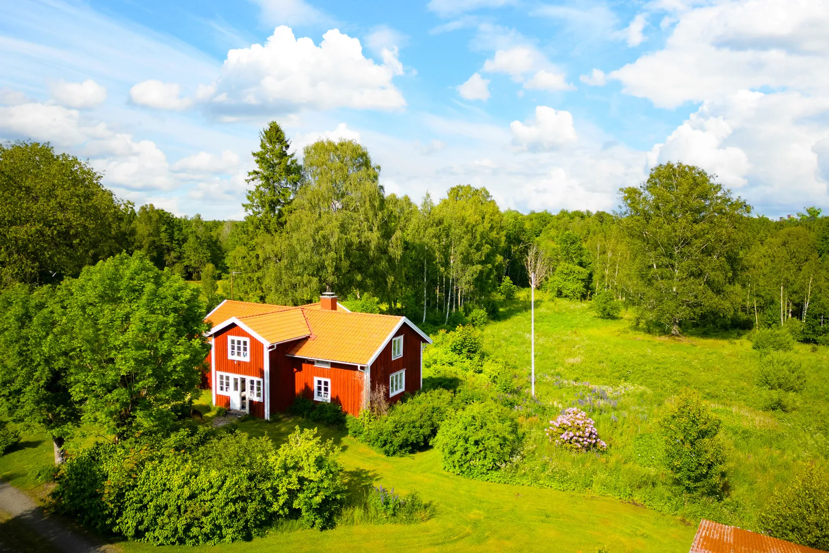 Gård/Skog, Ed Nissatorp 1, Värnamo