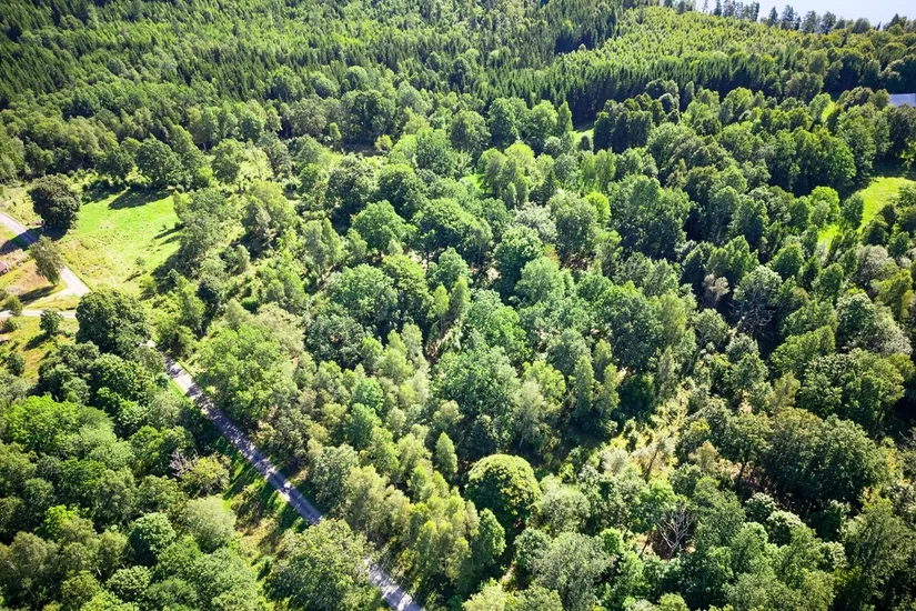 Gård/Skog, Ed Nissatorp 1, Värnamo