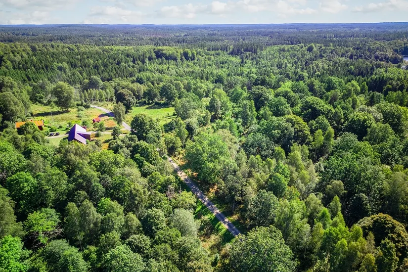 Gård/Skog, Ed Nissatorp 1, Värnamo