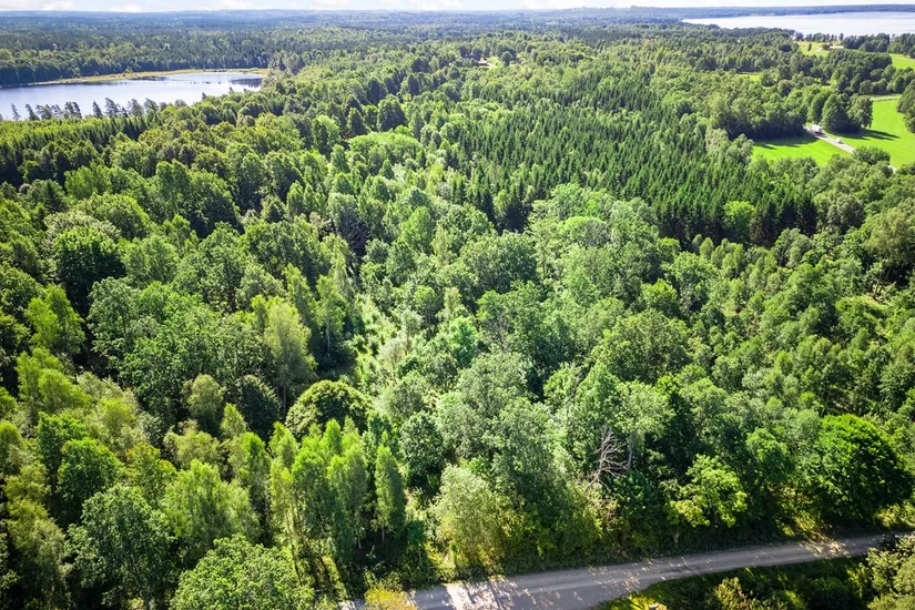 Gård/Skog, Ed Nissatorp 1, Värnamo