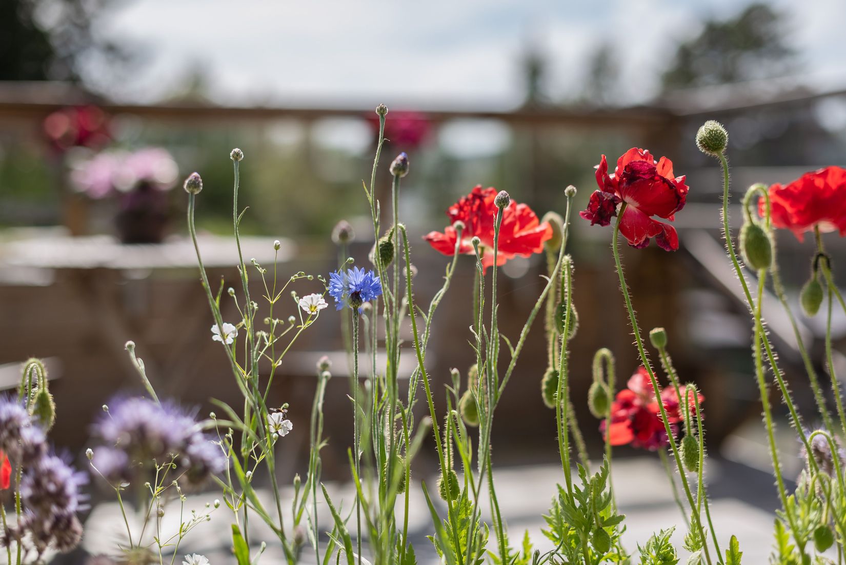 Villa, Granbacken 11, Petersvik, Sundsvall