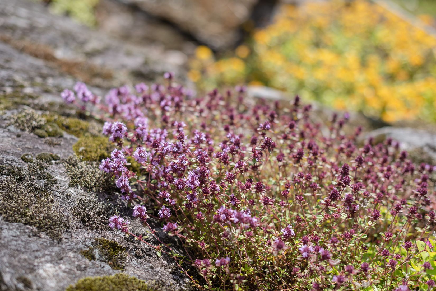 Villa, Granbacken 11, Petersvik, Sundsvall