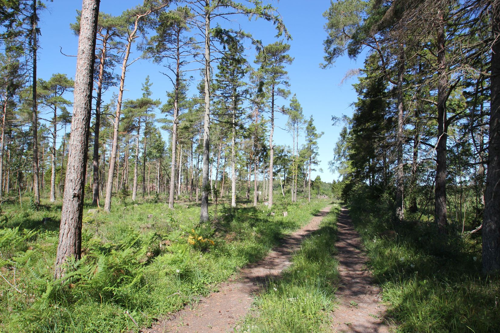 Tomt, Sanda Bjästavs 110, Tomt A, Sanda - Västra Gotland, Gotland