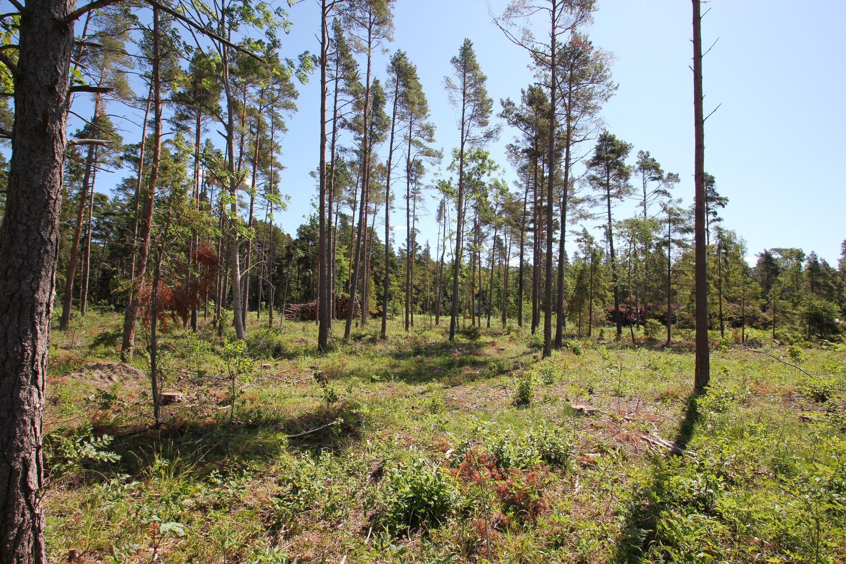 Tomt, Sanda Bjästavs 110, Tomt A, Sanda - Västra Gotland, Gotland