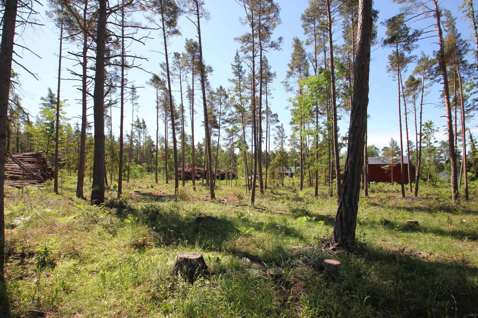 Tomt, Sanda Bjästavs 110, Tomt A, Sanda - Västra Gotland, Gotland