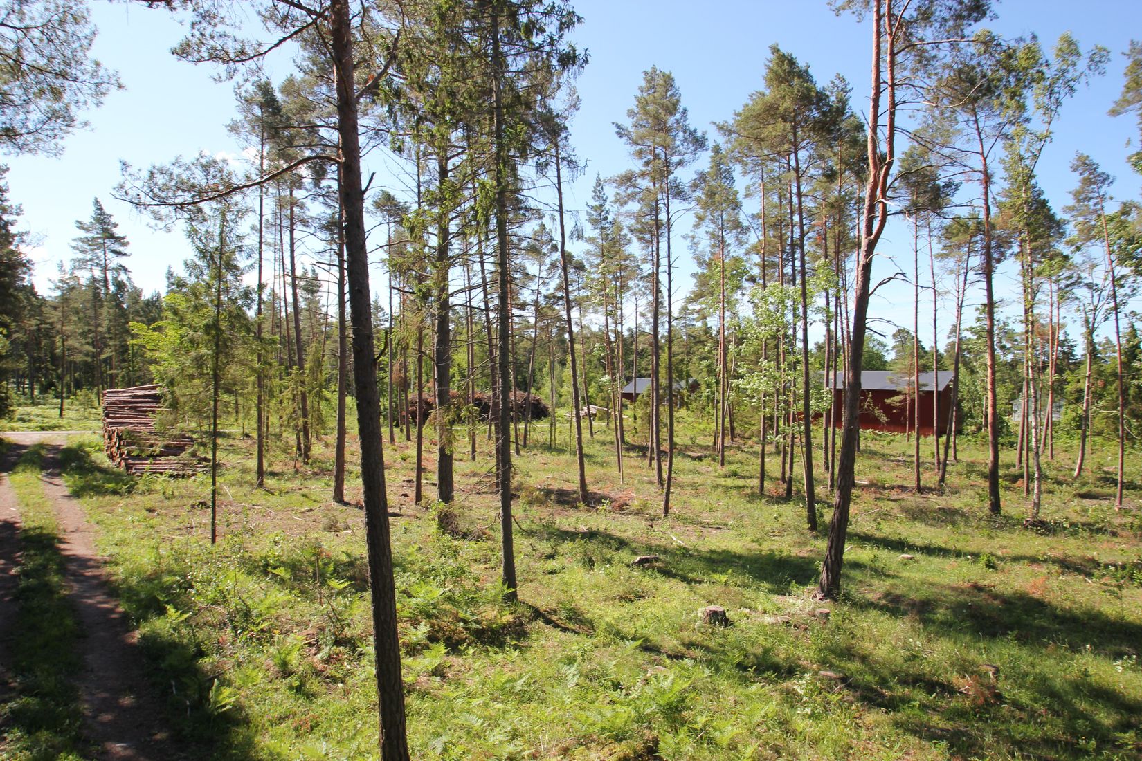 Tomt, Sanda Bjästavs 110, Tomt A, Sanda - Västra Gotland, Gotland