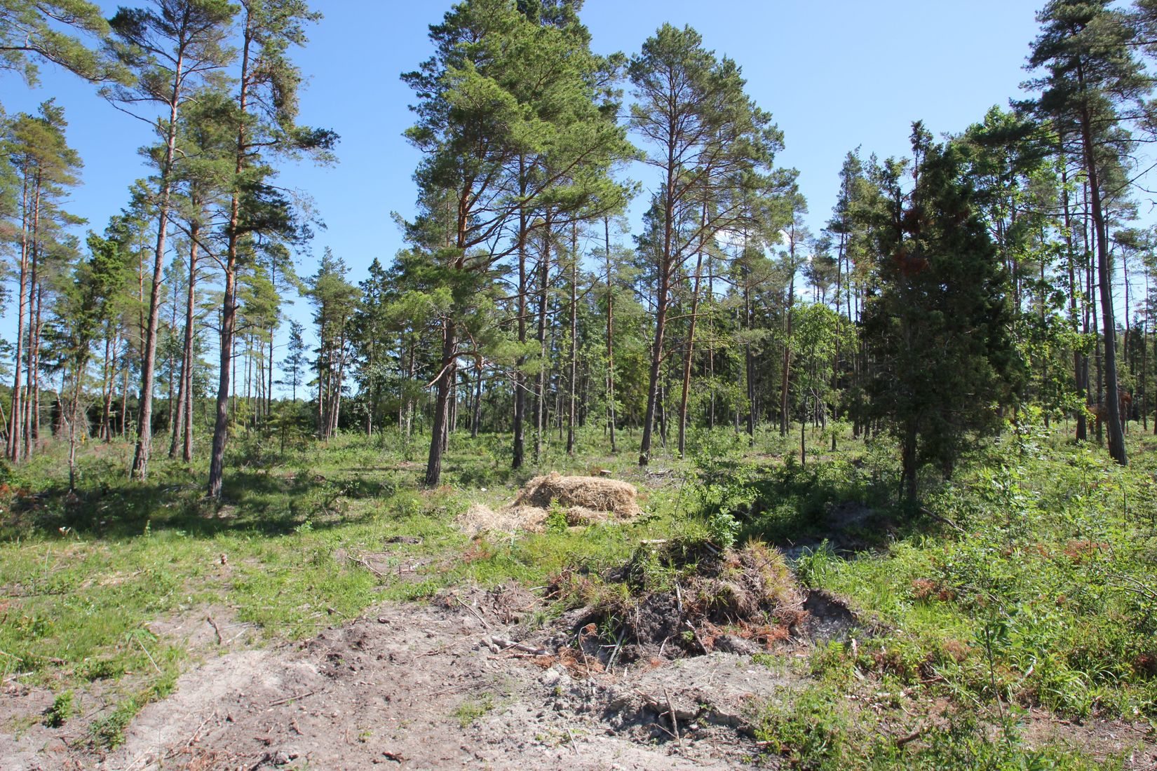 Tomt, Sanda Bjästavs 110, Tomt A, Sanda - Västra Gotland, Gotland