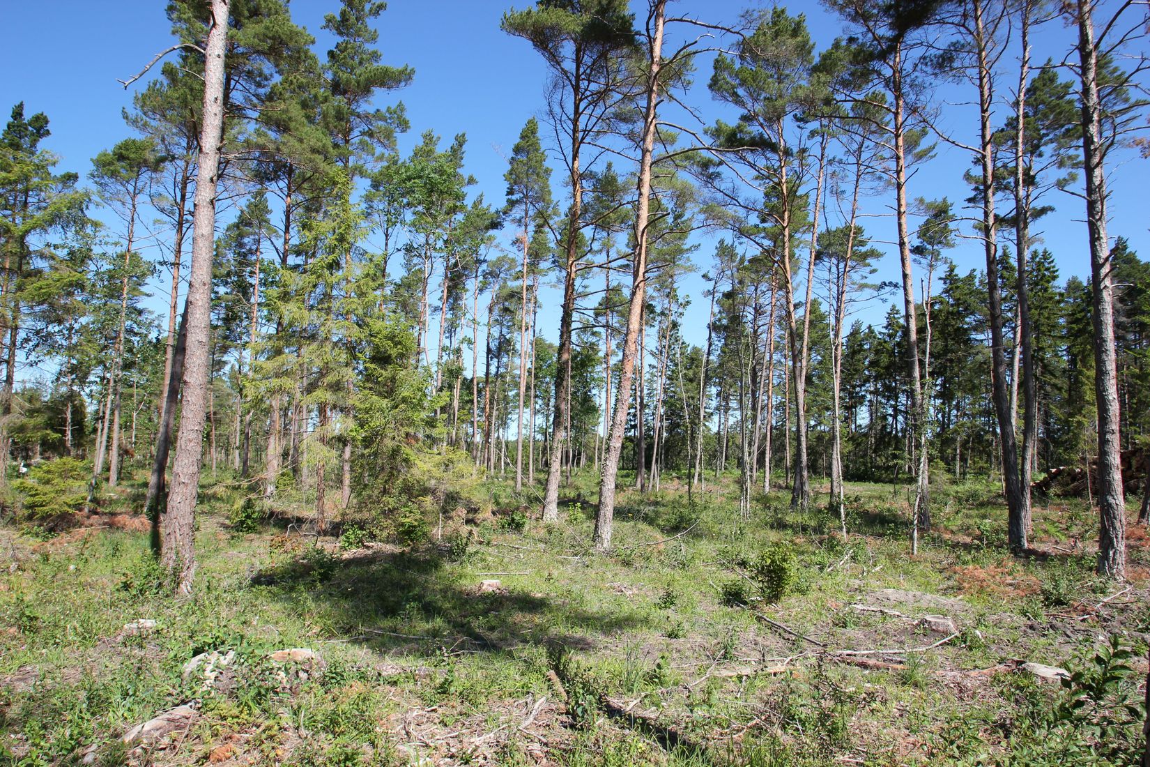 Tomt, Sanda Bjästavs 110, Tomt A, Sanda - Västra Gotland, Gotland