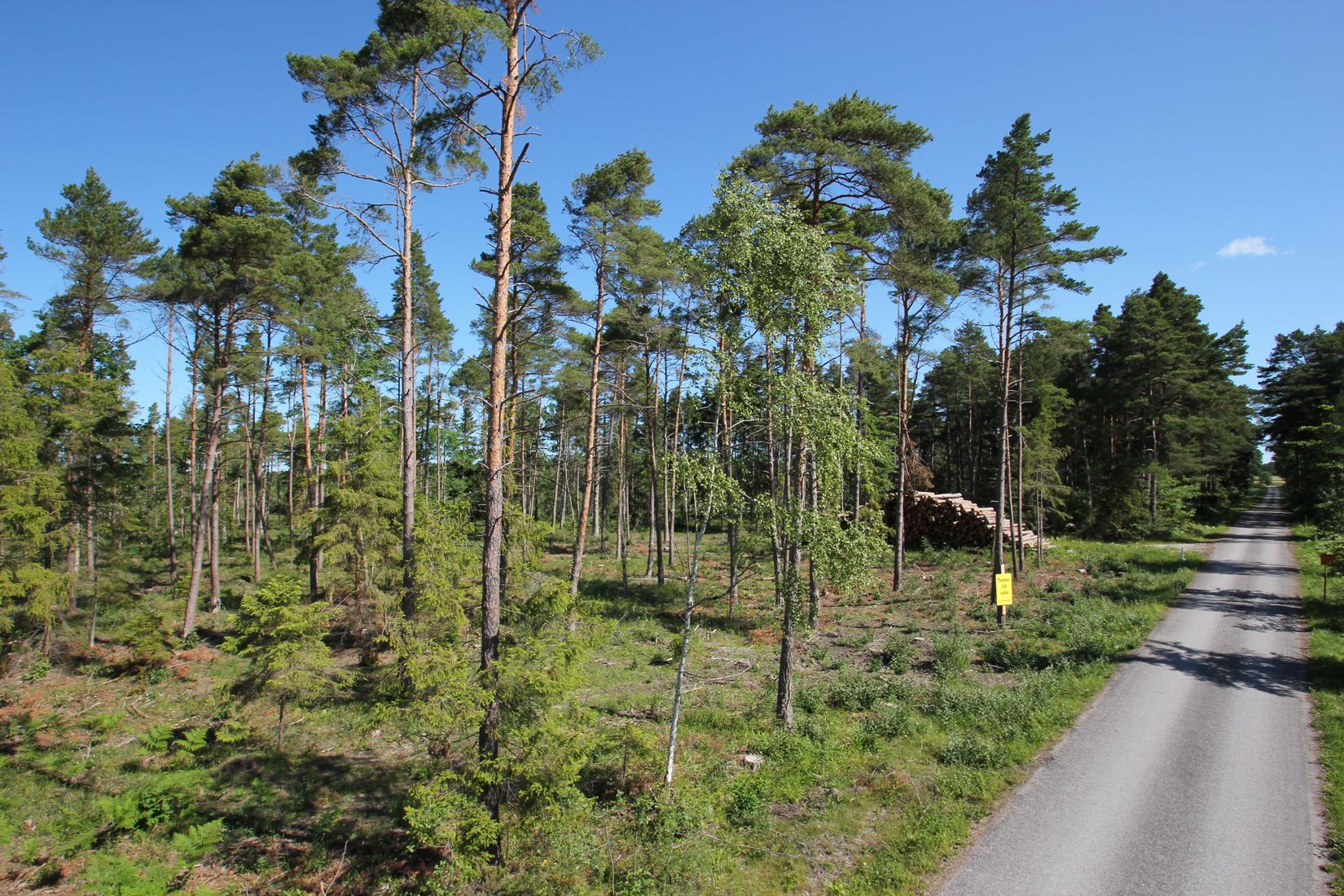 Tomt, Sanda Bjästavs 110, Tomt A, Sanda - Västra Gotland, Gotland