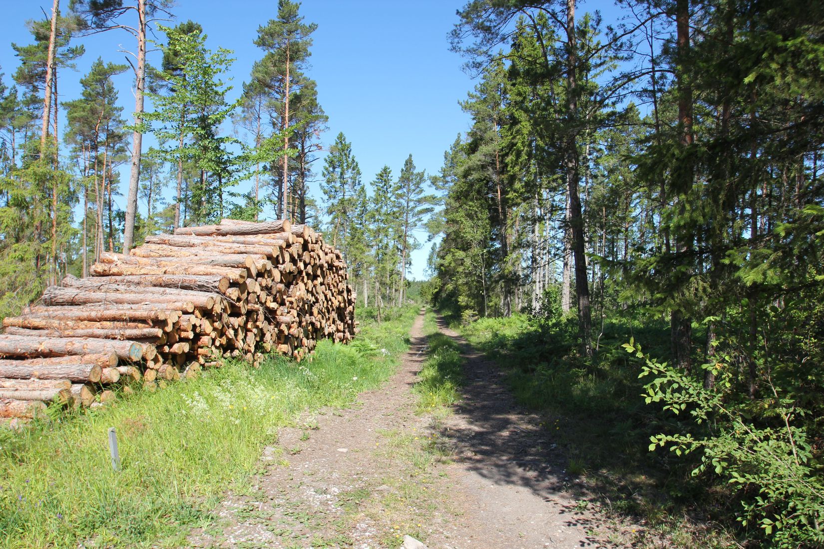 Tomt, Sanda Bjästavs 110, Tomt A, Sanda - Västra Gotland, Gotland