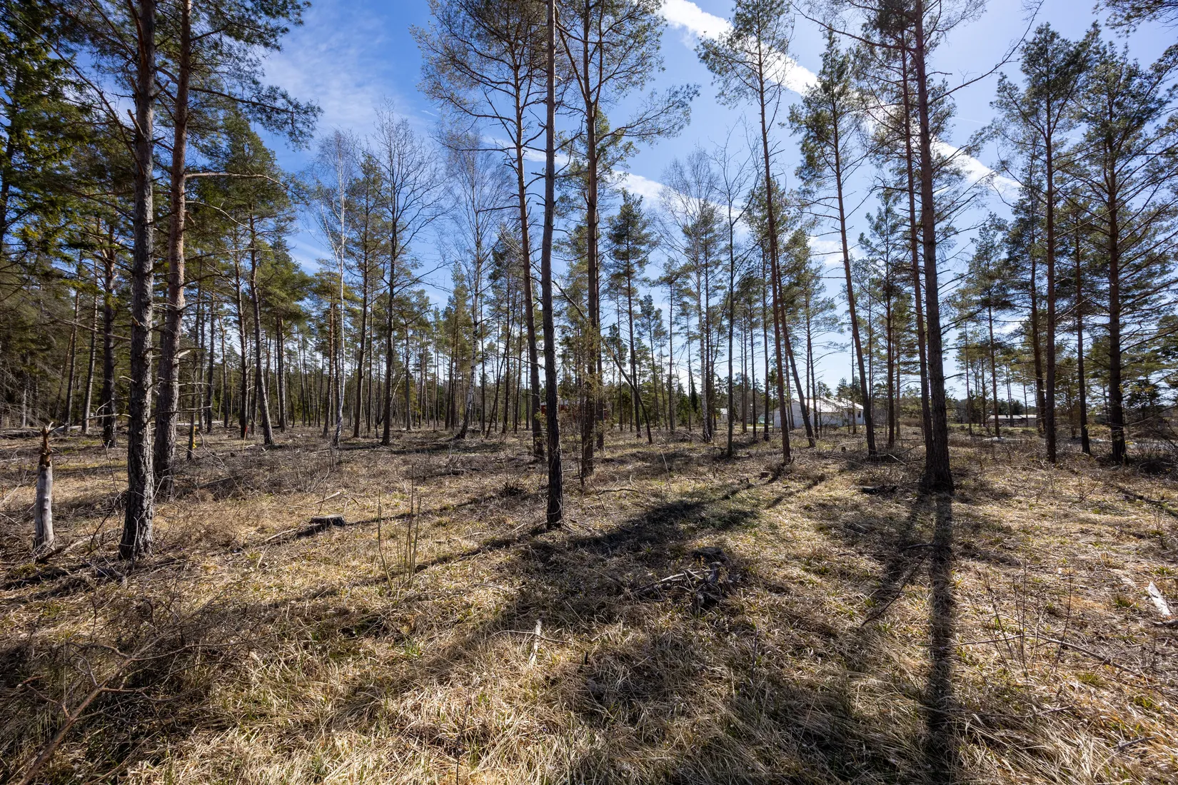 Tomt, Västergarn Stora Mafrids 569, Västergarn, Gotland