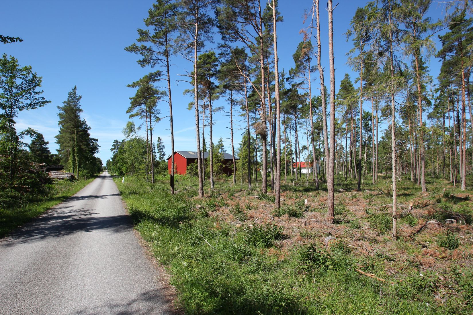 Tomt, Sanda Bjästavs 110, Tomt A, Sanda - Västra Gotland, Gotland