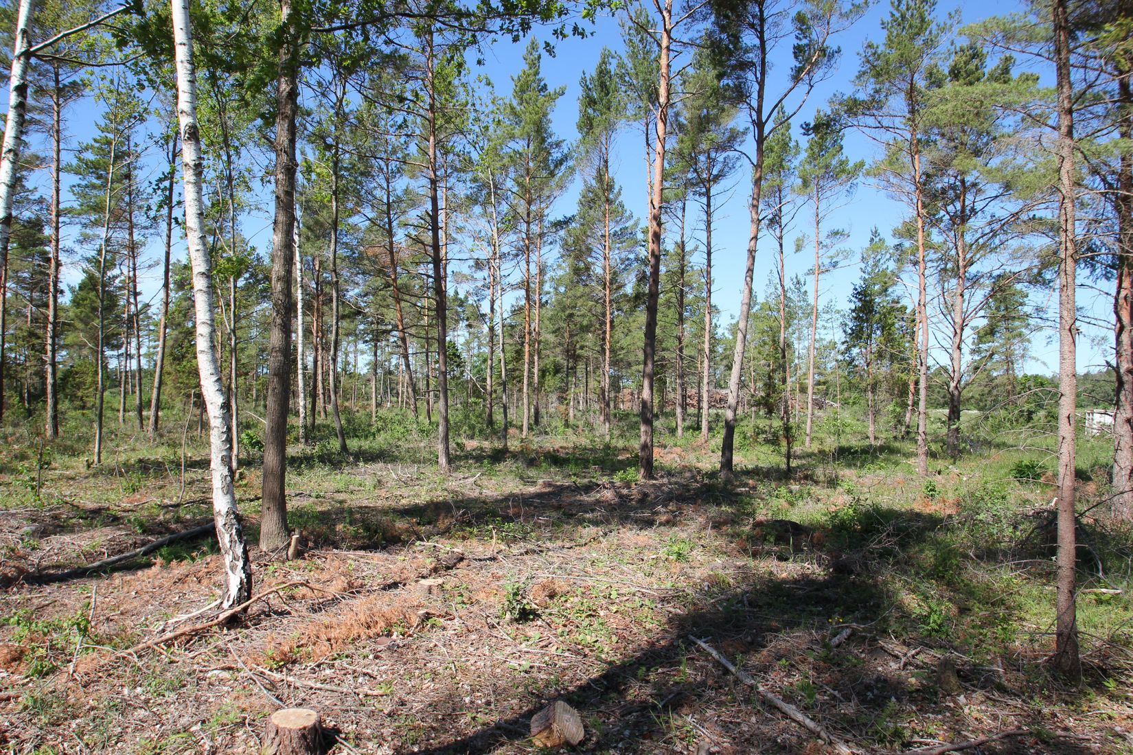 Tomt, Sanda Bjästavs 110, Tomt B, Sanda - Västra Gotland, Gotland