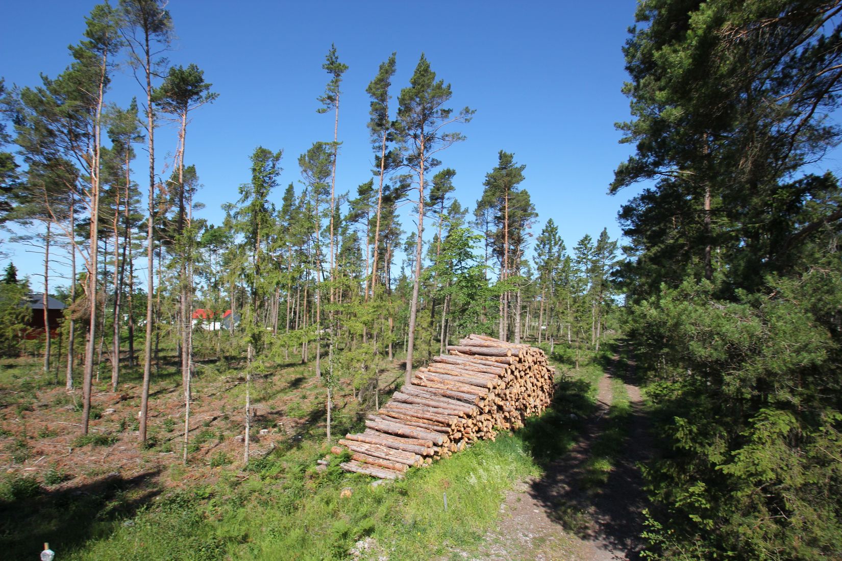 Tomt, Sanda Bjästavs 110, Tomt B, Sanda - Västra Gotland, Gotland